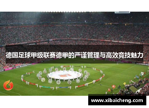 德国足球甲级联赛德甲的严谨管理与高效竞技魅力