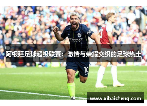 阿根廷足球超级联赛：激情与荣耀交织的足球热土