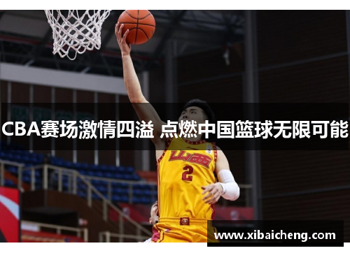 CBA赛场激情四溢 点燃中国篮球无限可能