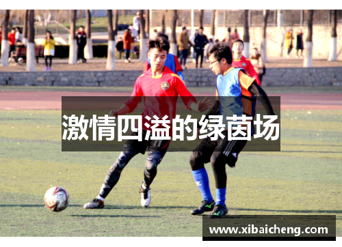 激情四溢的绿茵场