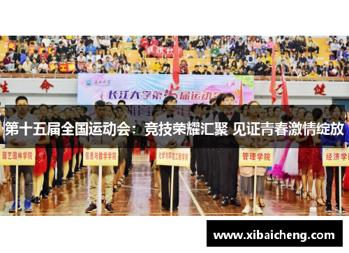 第十五届全国运动会：竞技荣耀汇聚 见证青春激情绽放