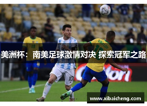 美洲杯：南美足球激情对决 探索冠军之路