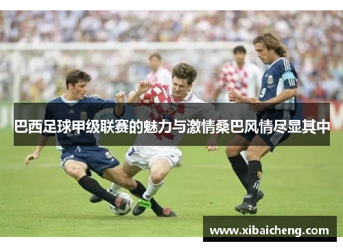 巴西足球甲级联赛的魅力与激情桑巴风情尽显其中