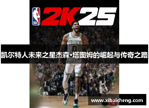 凯尔特人未来之星杰森·塔图姆的崛起与传奇之路