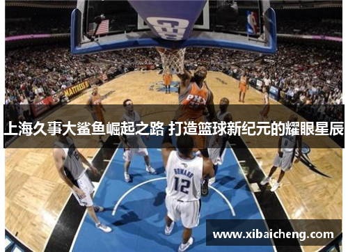 上海久事大鲨鱼崛起之路 打造篮球新纪元的耀眼星辰
