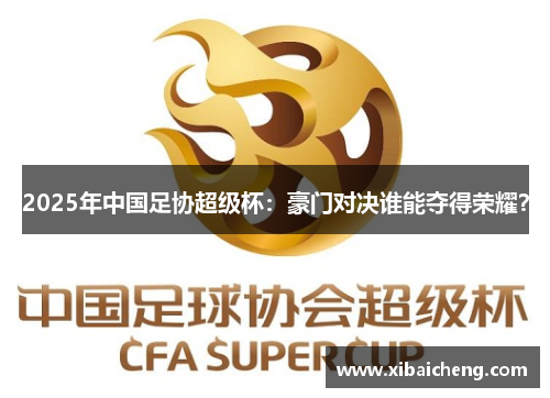 2025年中国足协超级杯：豪门对决谁能夺得荣耀？